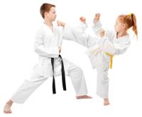 Karate Classes In Kingwood TX image 1